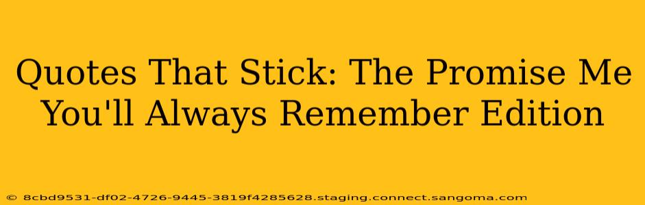 Quotes That Stick: The Promise Me You'll Always Remember Edition