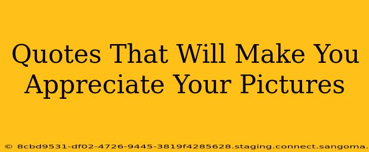 Quotes That Will Make You Appreciate Your Pictures