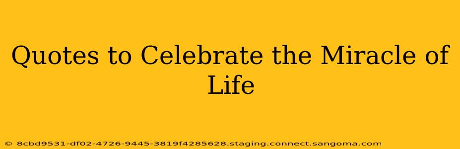 Quotes to Celebrate the Miracle of Life