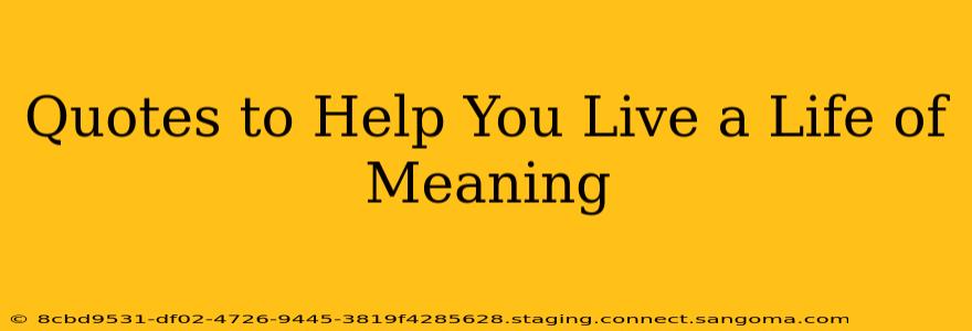 Quotes to Help You Live a Life of Meaning