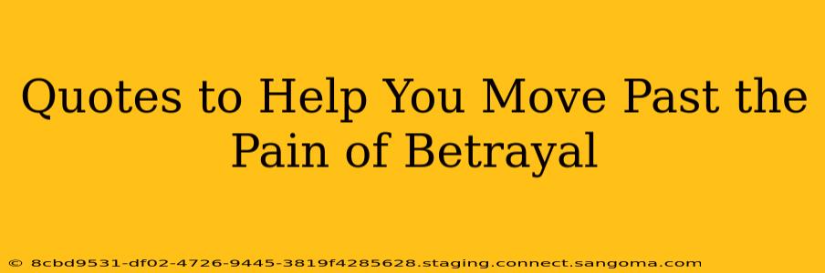 Quotes to Help You Move Past the Pain of Betrayal