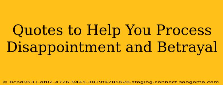 Quotes to Help You Process Disappointment and Betrayal