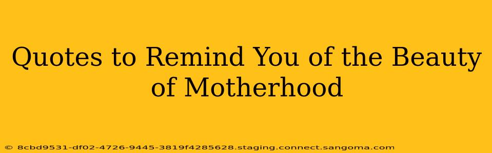 Quotes to Remind You of the Beauty of Motherhood
