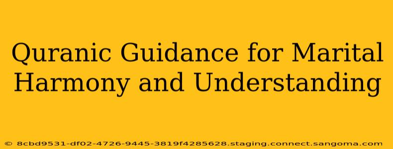 Quranic Guidance for Marital Harmony and Understanding