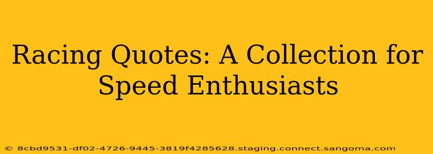 Racing Quotes: A Collection for Speed Enthusiasts