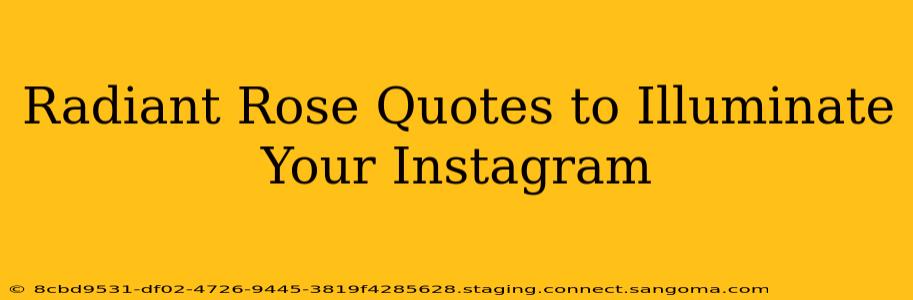 Radiant Rose Quotes to Illuminate Your Instagram