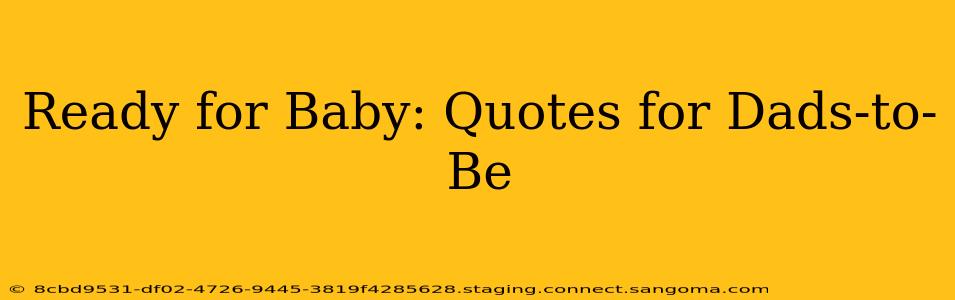Ready for Baby: Quotes for Dads-to-Be