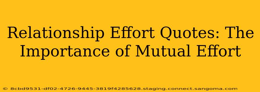 Relationship Effort Quotes: The Importance of Mutual Effort