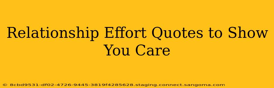 Relationship Effort Quotes to Show You Care