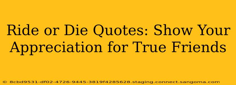 Ride or Die Quotes: Show Your Appreciation for True Friends