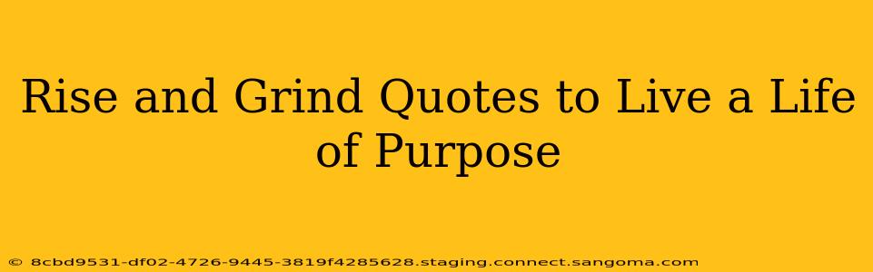 Rise and Grind Quotes to Live a Life of Purpose