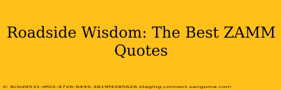 Roadside Wisdom: The Best ZAMM Quotes