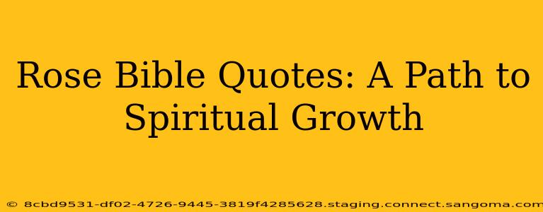 Rose Bible Quotes: A Path to Spiritual Growth