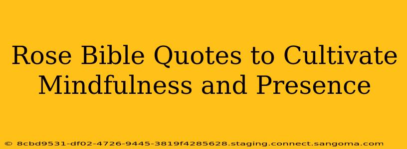 Rose Bible Quotes to Cultivate Mindfulness and Presence