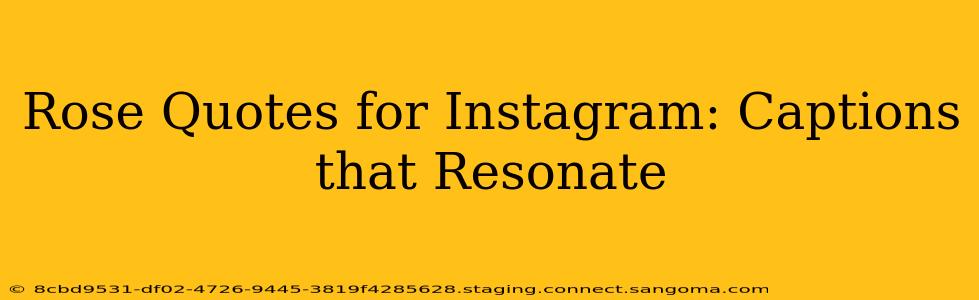 Rose Quotes for Instagram: Captions that Resonate