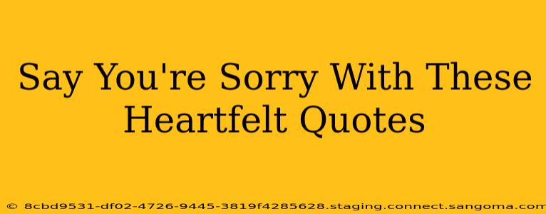 Say You're Sorry With These Heartfelt Quotes