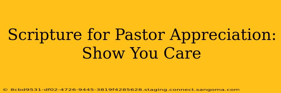 Scripture for Pastor Appreciation: Show You Care