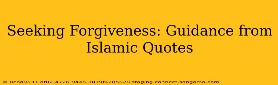 Seeking Forgiveness: Guidance from Islamic Quotes