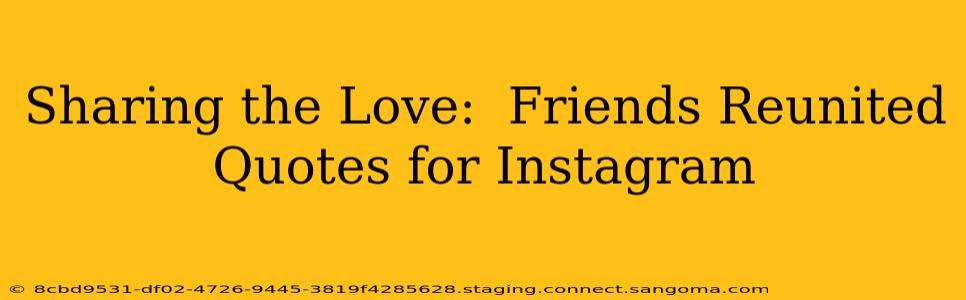 Sharing the Love:  Friends Reunited Quotes for Instagram