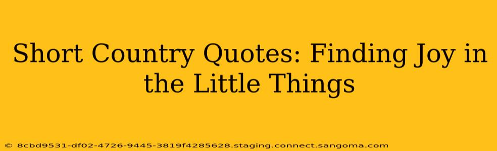 Short Country Quotes: Finding Joy in the Little Things