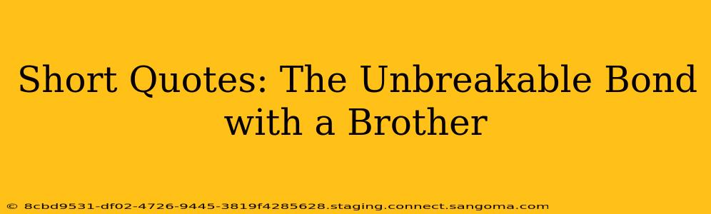 Short Quotes: The Unbreakable Bond with a Brother