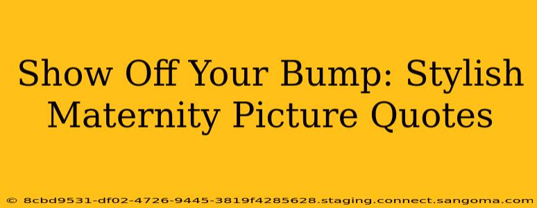 Show Off Your Bump: Stylish Maternity Picture Quotes