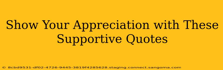 Show Your Appreciation with These Supportive Quotes