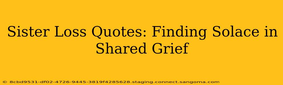 Sister Loss Quotes: Finding Solace in Shared Grief