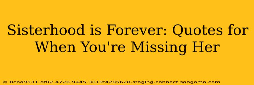 Sisterhood is Forever: Quotes for When You're Missing Her