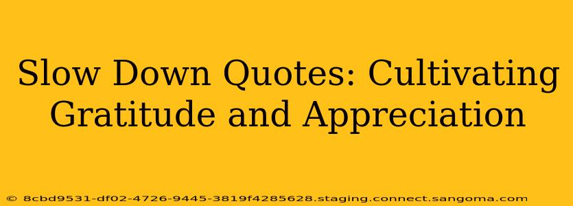 Slow Down Quotes: Cultivating Gratitude and Appreciation