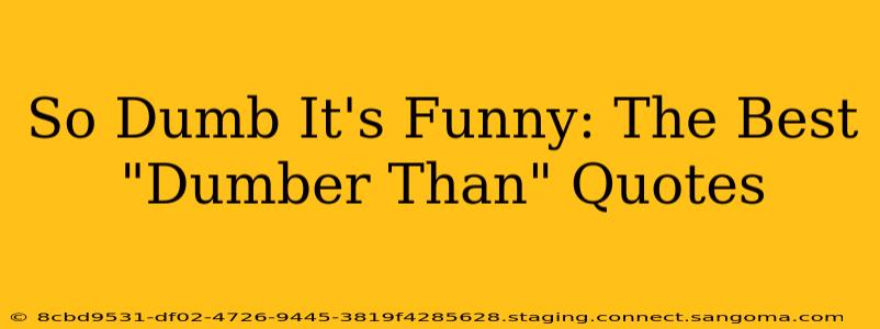 So Dumb It's Funny: The Best "Dumber Than" Quotes