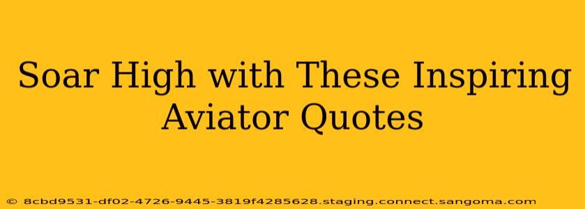 Soar High with These Inspiring Aviator Quotes