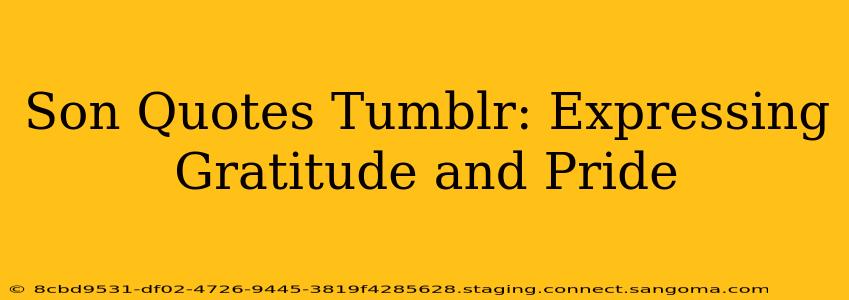 Son Quotes Tumblr: Expressing Gratitude and Pride