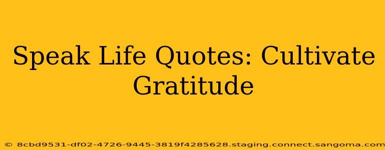 Speak Life Quotes: Cultivate Gratitude