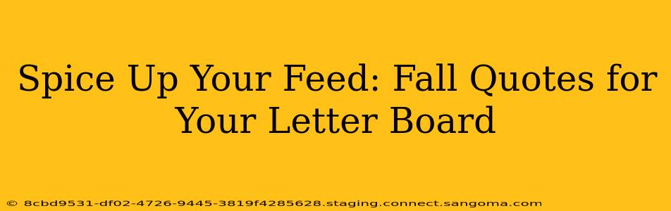 Spice Up Your Feed: Fall Quotes for Your Letter Board