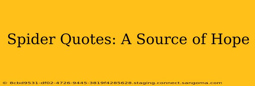 Spider Quotes: A Source of Hope