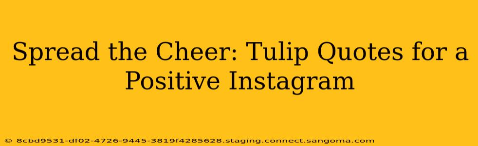 Spread the Cheer: Tulip Quotes for a Positive Instagram