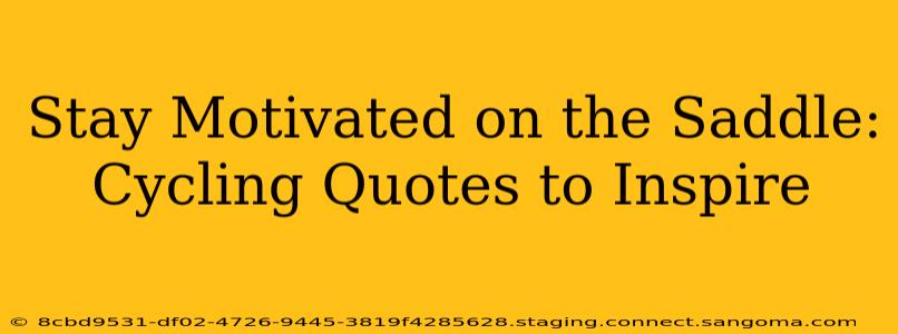 Stay Motivated on the Saddle: Cycling Quotes to Inspire