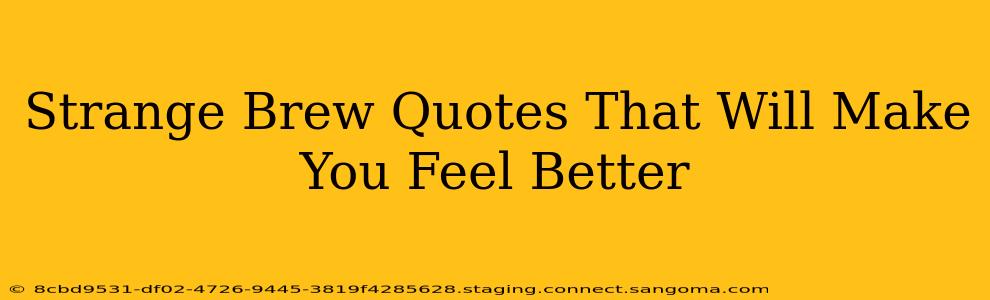 Strange Brew Quotes That Will Make You Feel Better