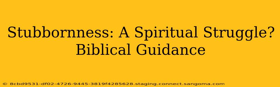 Stubbornness: A Spiritual Struggle? Biblical Guidance