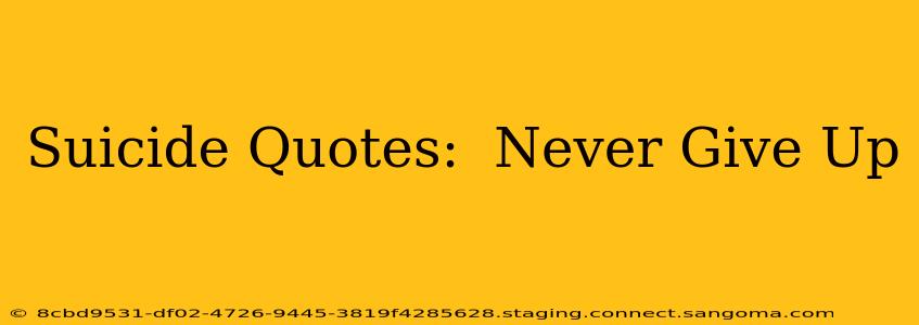 Suicide Quotes:  Never Give Up
