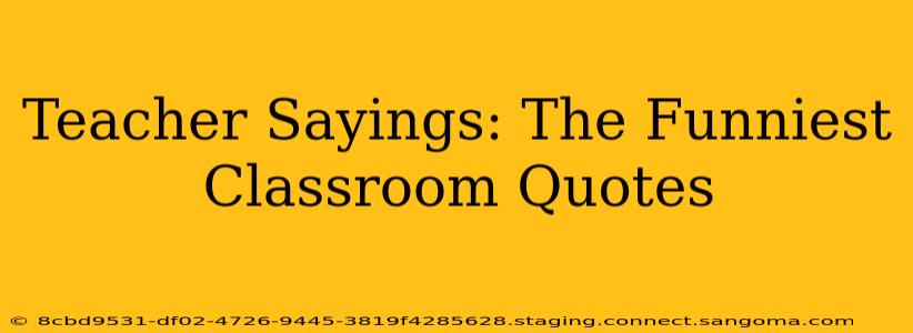 Teacher Sayings: The Funniest Classroom Quotes
