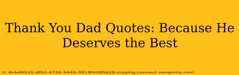 Thank You Dad Quotes: Because He Deserves the Best