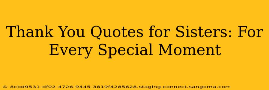 Thank You Quotes for Sisters: For Every Special Moment