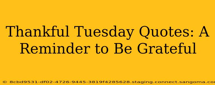 Thankful Tuesday Quotes: A Reminder to Be Grateful
