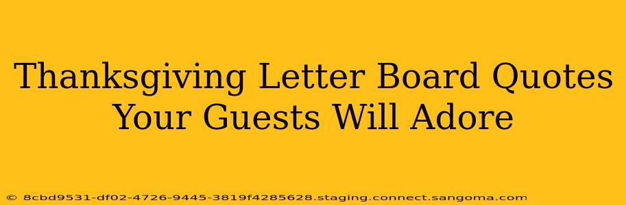 Thanksgiving Letter Board Quotes Your Guests Will Adore