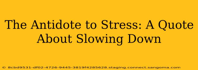 The Antidote to Stress: A Quote About Slowing Down