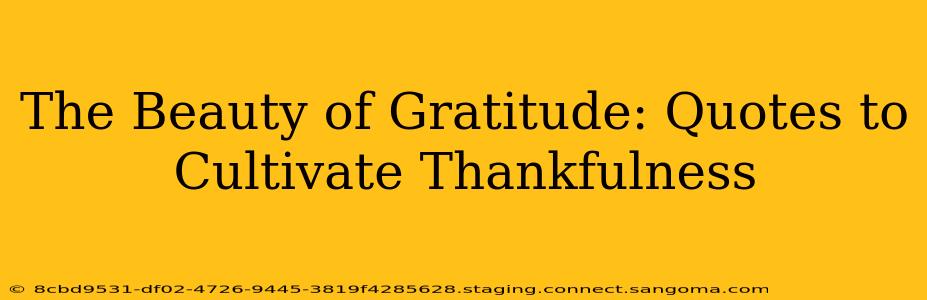 The Beauty of Gratitude: Quotes to Cultivate Thankfulness