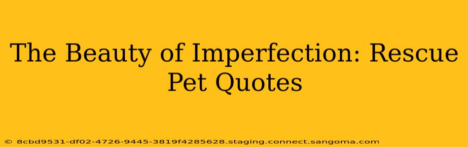 The Beauty of Imperfection: Rescue Pet Quotes
