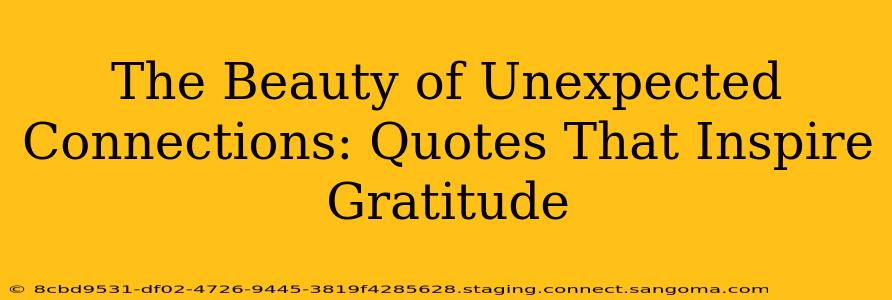 The Beauty of Unexpected Connections: Quotes That Inspire Gratitude